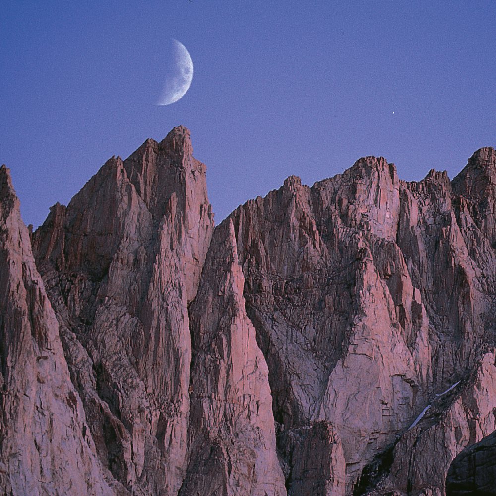 New Moon - Real World Records