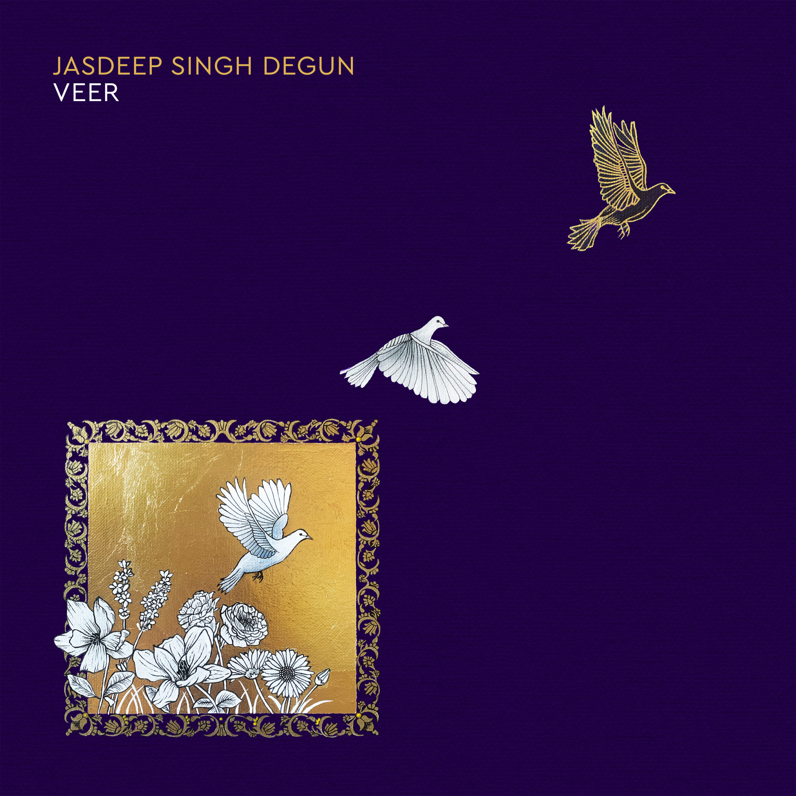 Jasdeep Singh Degun - Veer